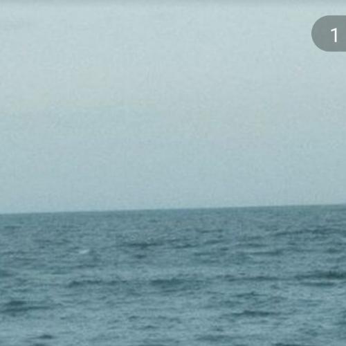 สมาชิกหมายเลข 8064966