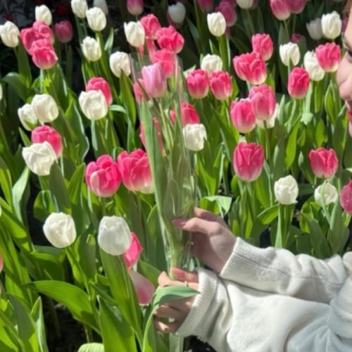 สมาชิกหมายเลข 9145132