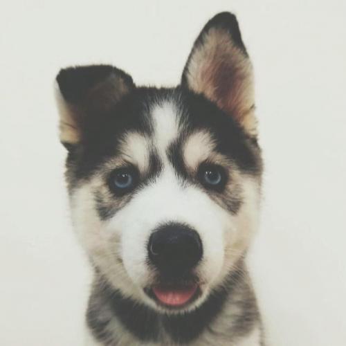 สมาชิกหมายเลข 4301598