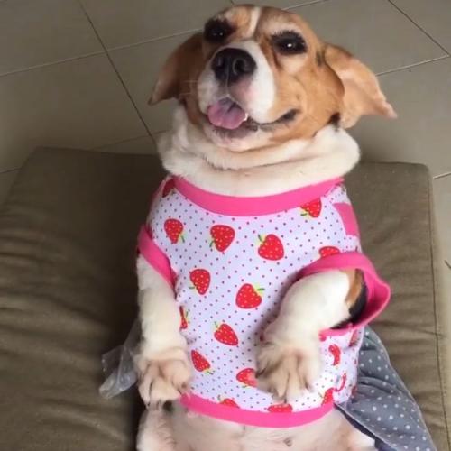 สมาชิกหมายเลข 4670918