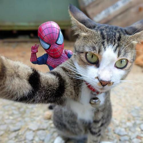 สมาชิกหมายเลข 4679595