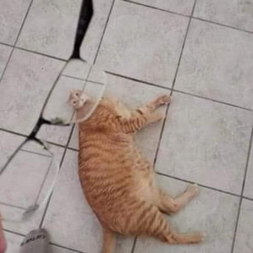 สมาชิกหมายเลข 2116757