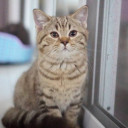 สมาชิกหมายเลข 4677300