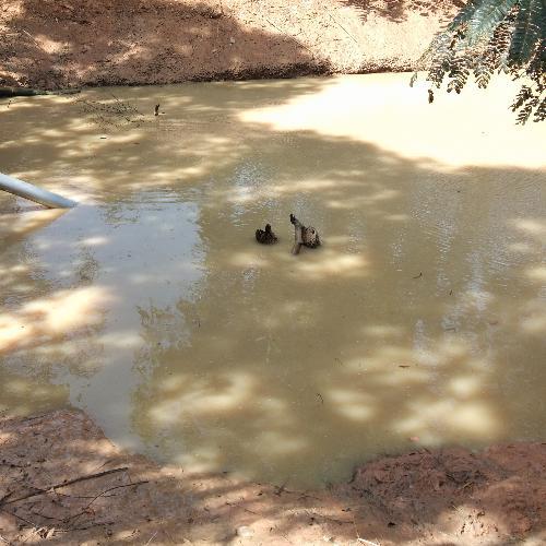 สมาชิกหมายเลข 5043733