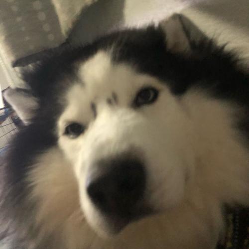 สมาชิกหมายเลข 4056103