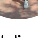 สมาชิกหมายเลข 5436622