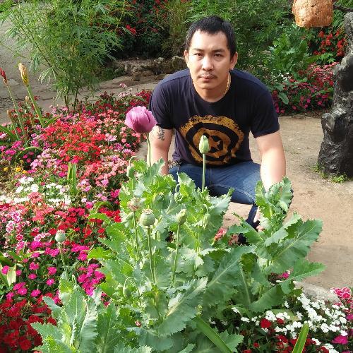 สมาชิกหมายเลข 5436686