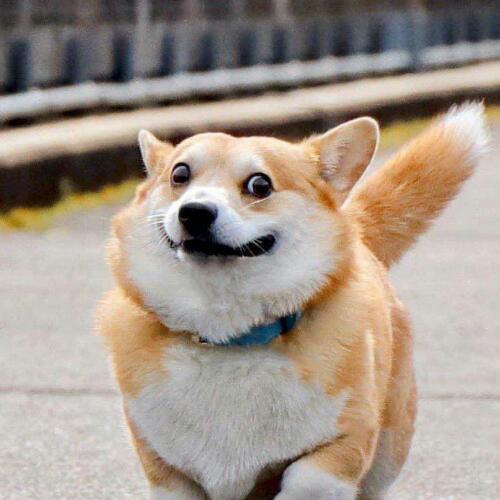 สมาชิกหมายเลข 4397549