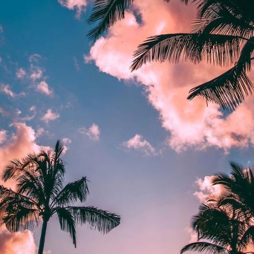 สมาชิกหมายเลข 5954263