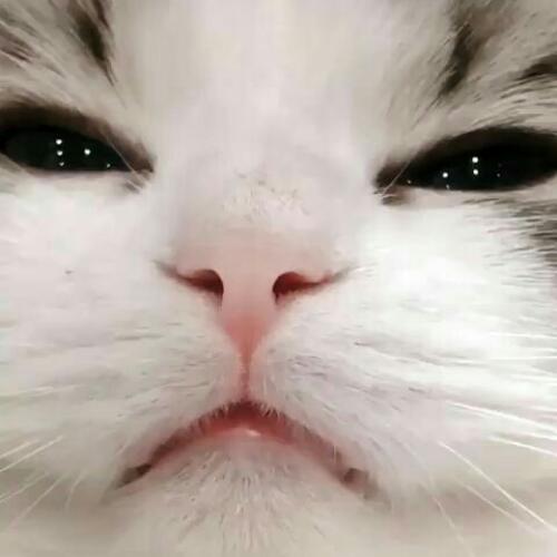 สมาชิกหมายเลข 5954389