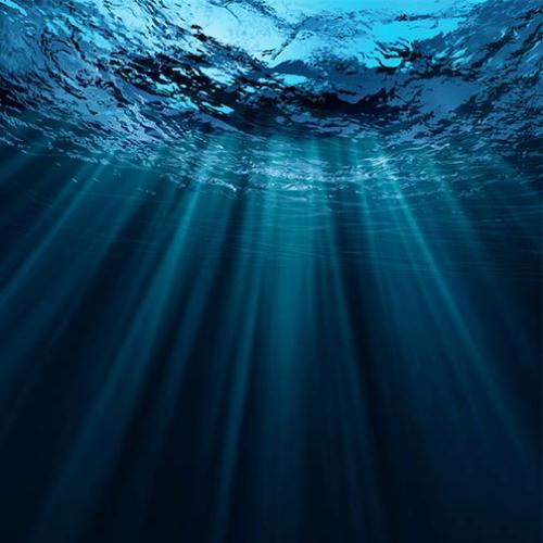 สมาชิกหมายเลข 6559767