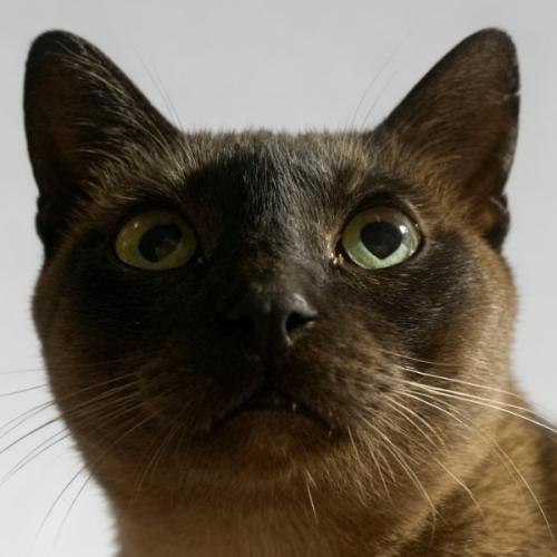 สมาชิกหมายเลข 3151985