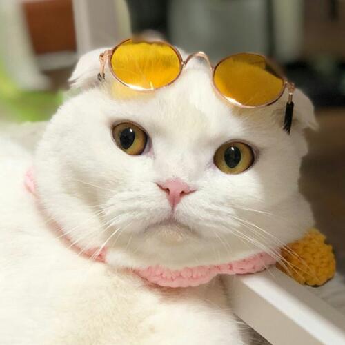 สมาชิกหมายเลข 4378911