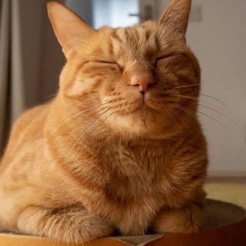 สมาชิกหมายเลข 6560192