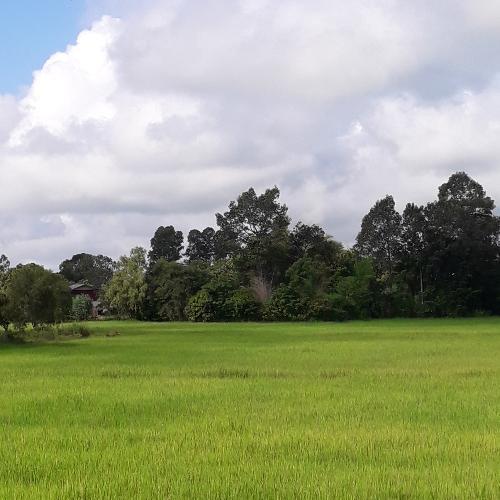 สมาชิกหมายเลข 5568043