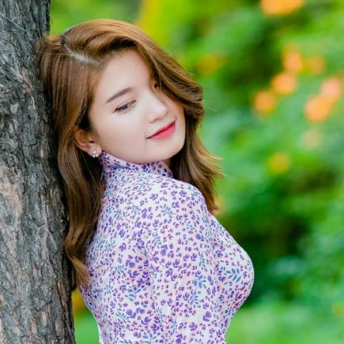 สมาชิกหมายเลข 8113808