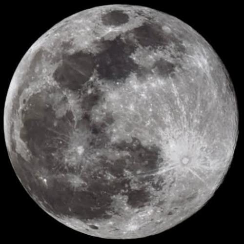 สมาชิกหมายเลข 8930240