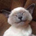 สมาชิกหมายเลข 1103305