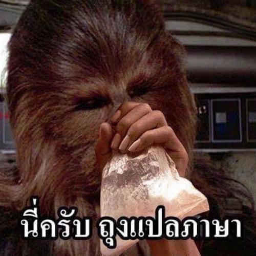 สมาชิกหมายเลข 1361600