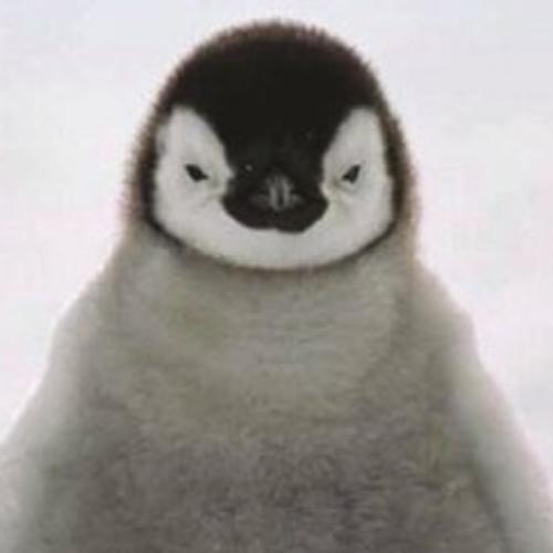 สมาชิกหมายเลข 3652541