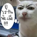 สมาชิกหมายเลข 4680179