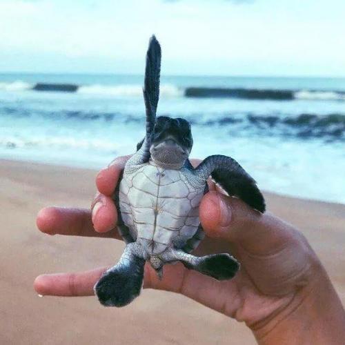 สมาชิกหมายเลข 5432162