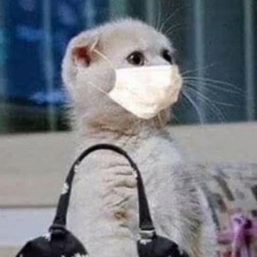 สมาชิกหมายเลข 4062200