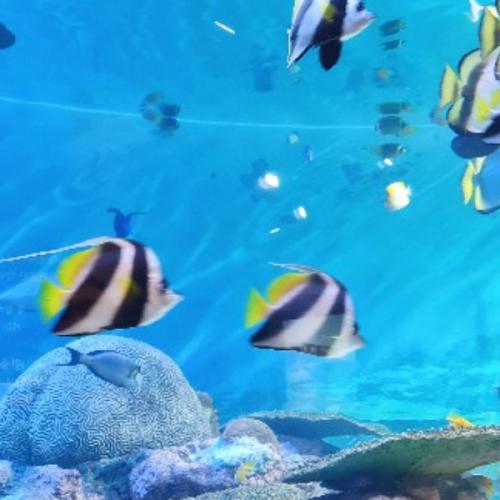 สมาชิกหมายเลข 4488742