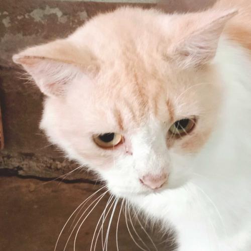 สมาชิกหมายเลข 7288558