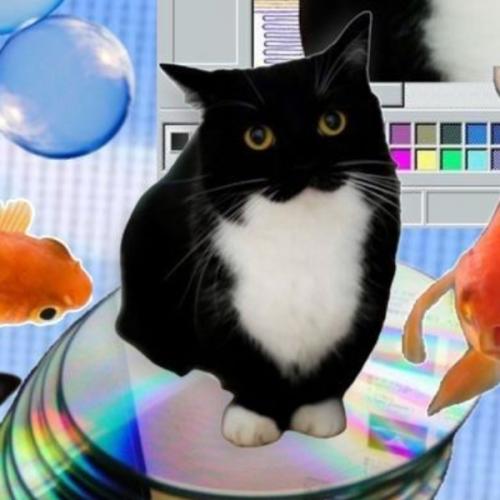 สมาชิกหมายเลข 5442222