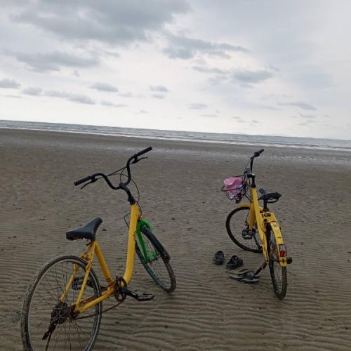 สมาชิกหมายเลข 2043313