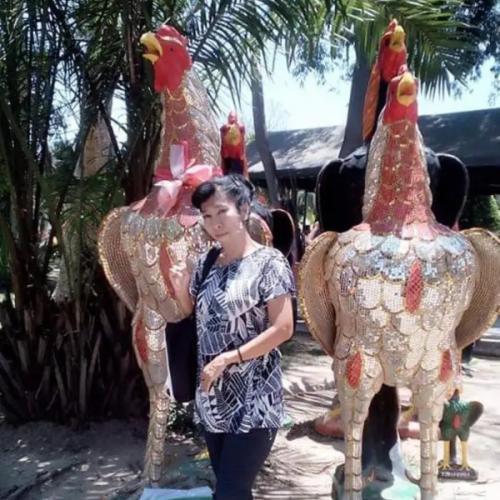 สมาชิกหมายเลข 8504687