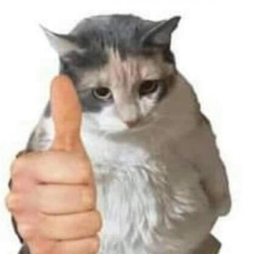 สมาชิกหมายเลข 8504943