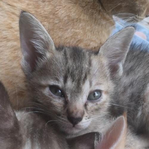 สมาชิกหมายเลข 9152188