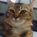 สมาชิกหมายเลข 3836037