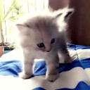 สมาชิกหมายเลข 4302935