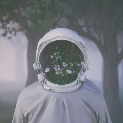 สมาชิกหมายเลข 2530347