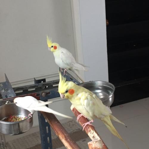 สมาชิกหมายเลข 2536374