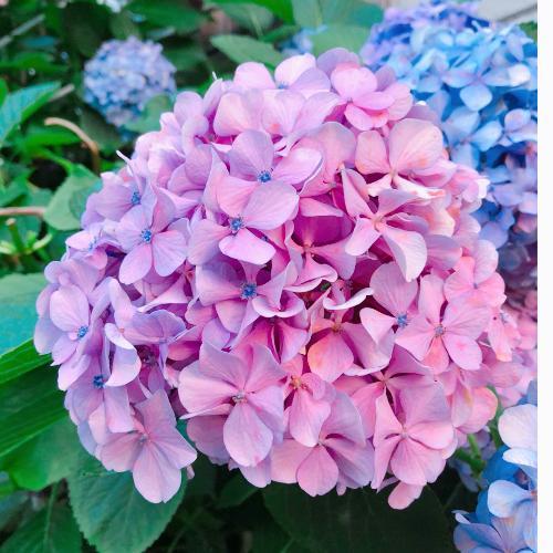 สมาชิกหมายเลข 3849531