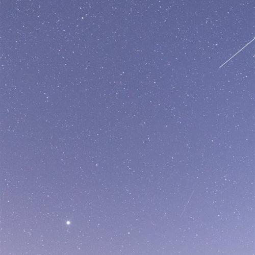 สมาชิกหมายเลข 4663471