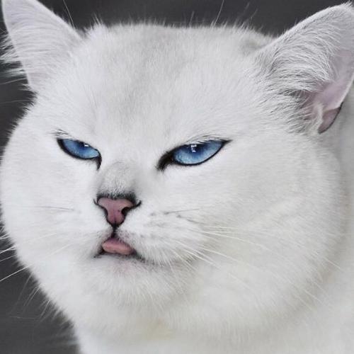 สมาชิกหมายเลข 5258605