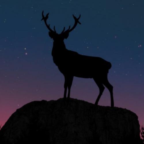 สมาชิกหมายเลข 5945042