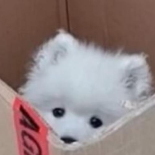 สมาชิกหมายเลข 6562020