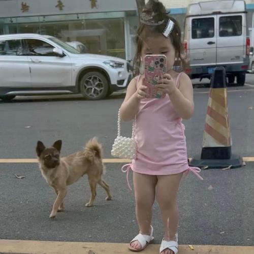 สมาชิกหมายเลข 1562255