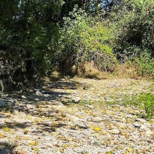 สมาชิกหมายเลข 2095675