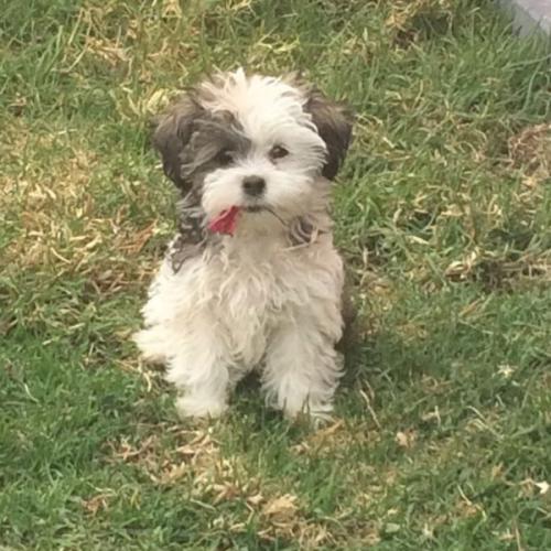 สมาชิกหมายเลข 5933431