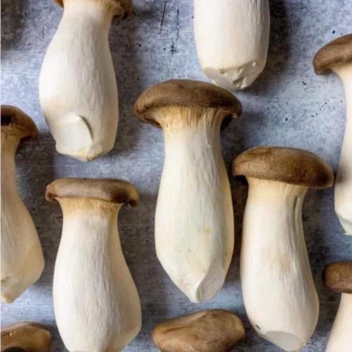 สมาชิกหมายเลข 7180998