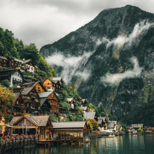 สมาชิกหมายเลข 8115920