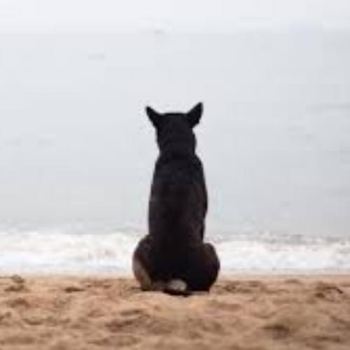 สมาชิกหมายเลข 3447159