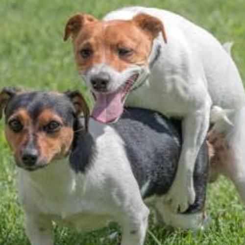 สมาชิกหมายเลข 6826477